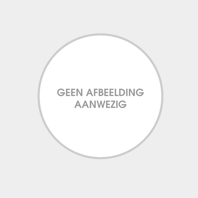 Chevrolet Street Pick-Up 1977